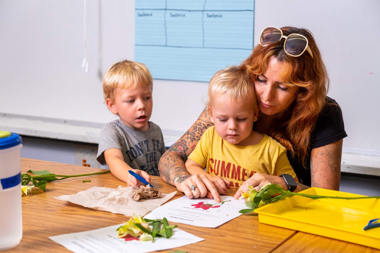 ABC Project - Diamond Educational Excellence Partnership